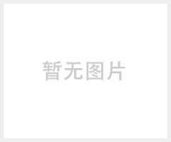 固定式升降平台 液压电动升降机 汽车升降机